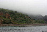 Santa Cruz Island