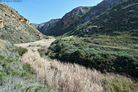 Santa Cruz Island