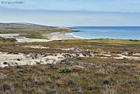 Santa Cruz Island