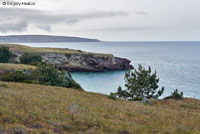 Santa Cruz Island