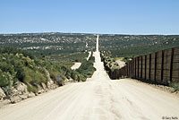 Cope's Leopard Lizard Habitat