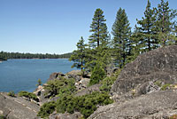 northern pacific rattlesnake habitat