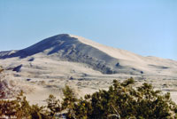 Mohave Fringe-toed Lizard Habitat