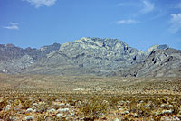 Banded Gila Monster Habitat