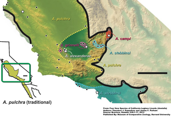 Anniella Range Map