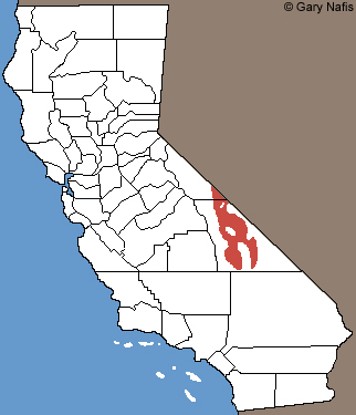 Panamint Alligator Lizard Range Map