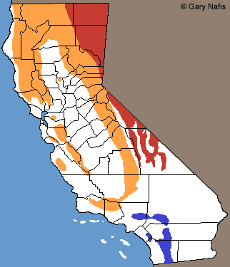 Common Sagebrush Lizard California Range Map
