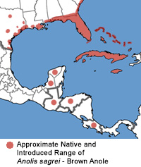 Full Species Range Map