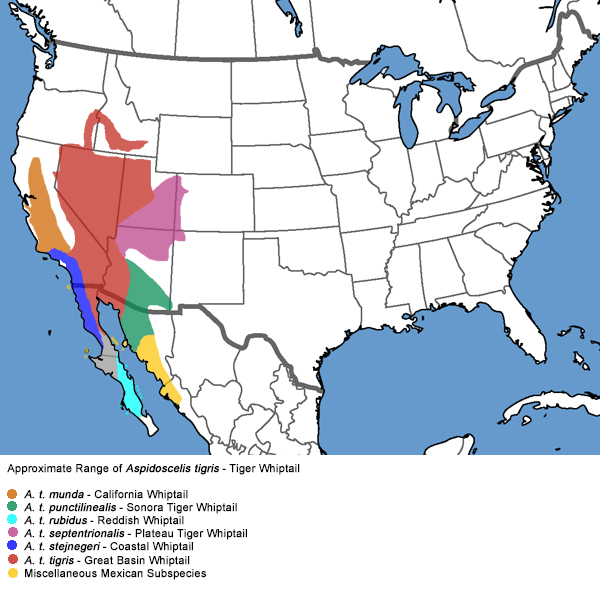 Full Species Range Map