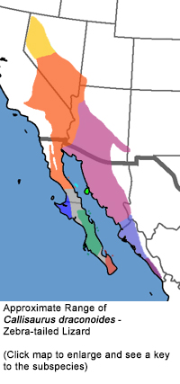 Full Species Range Map