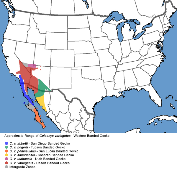 Full Species Range Map