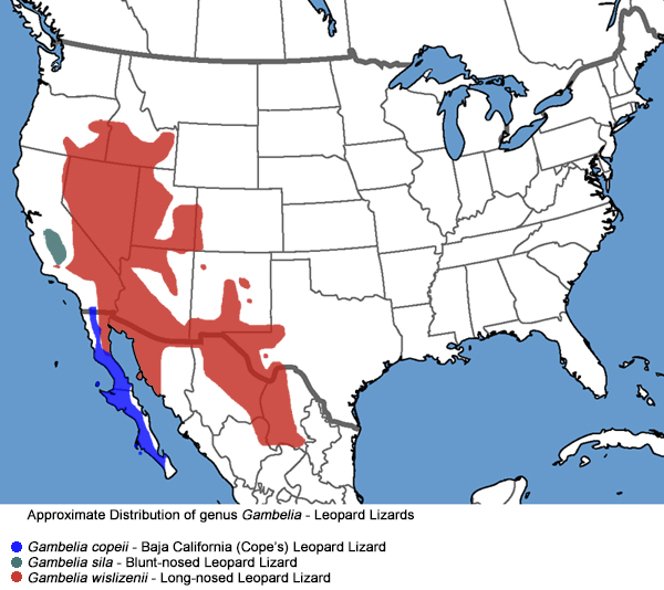 Full Species Range Map