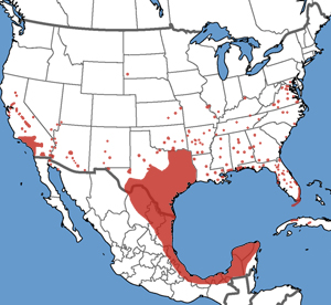 range map