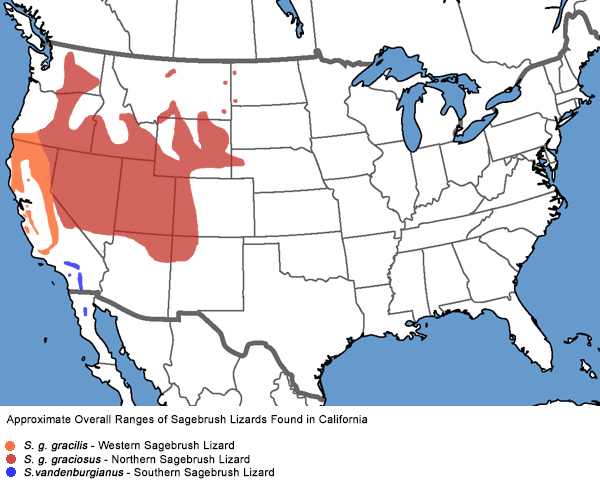 Full Species Range Map