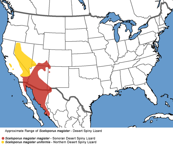 Full Species Range Map