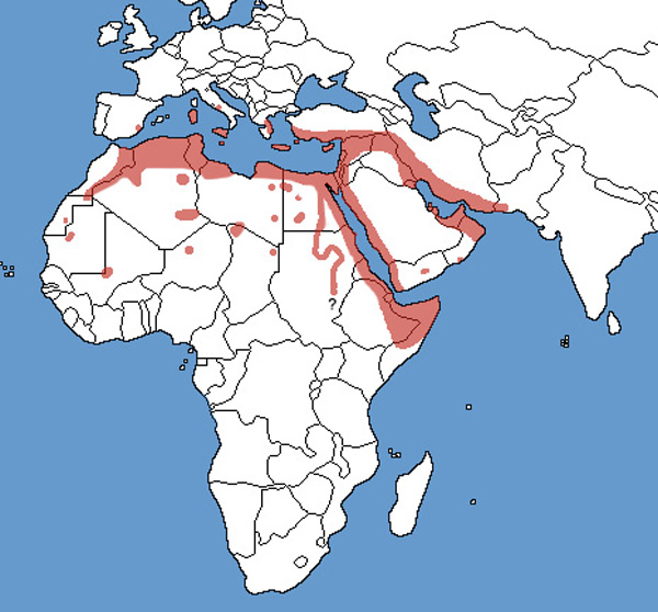 Full Species Range Map