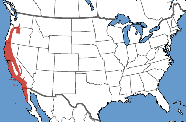 Full Species Range Map