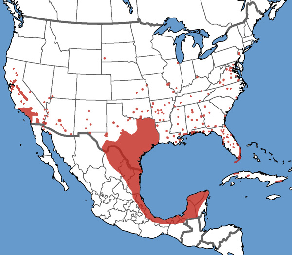 Full Species Range Map