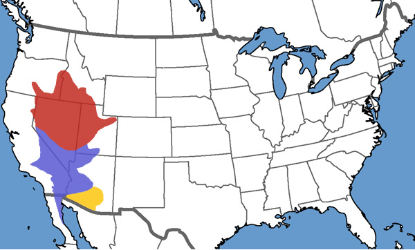 Full Species Range Map