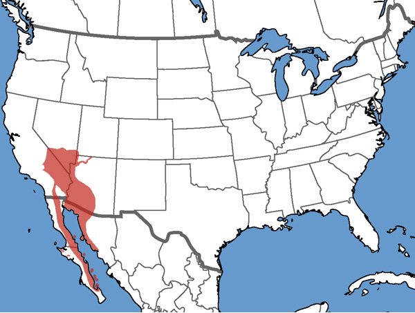 Full Species Range Map