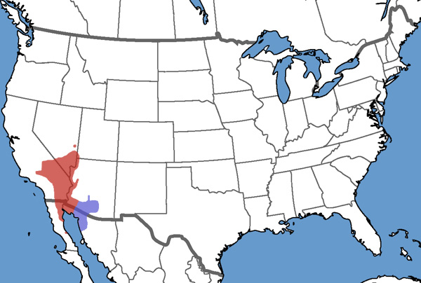 Full Species Range Map