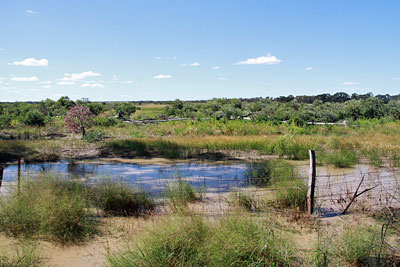 habitat