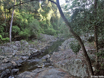 habitat
