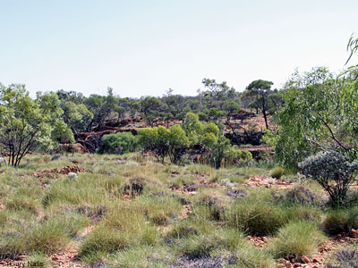 habitat