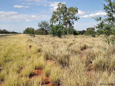 habitat