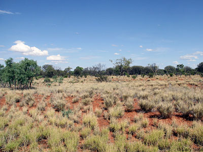 habitat