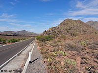 Baja California Whiptail habitat