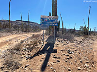 San Diego Banded Gecko habitat