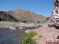 Central Baja California Banded Rock Lizard habitat