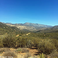 Granite Spiny Lizard habitat