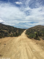 Carmen Island Zebra-tailed Lizard habitat