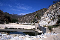 West Coast Gartersnake habitat