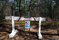 Houston Toad habitat