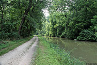 Eastern Painted Turtle Habitat