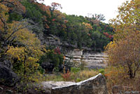 Eastern Black-necked Gartersnake habitat