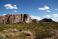 Texas Crevice Spiny Lizard habitat