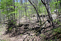 Cumberland Plateau Salamander habitat