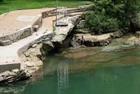Barton Springs Salamander habitat