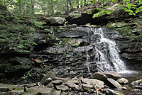 Northern Dusky Salamander Habitat