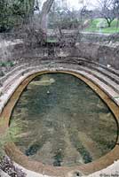 Barton Springs Salamander habitat
