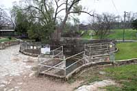 Barton Springs Salamander habitat