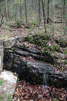 Northern Watersnake habitat