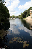 San Marcos Salamander habitat