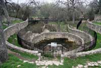 Barton Springs Salamander habitat