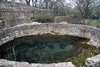 Barton Springs Salamander habitat