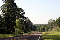 Southern Copperhead habitat